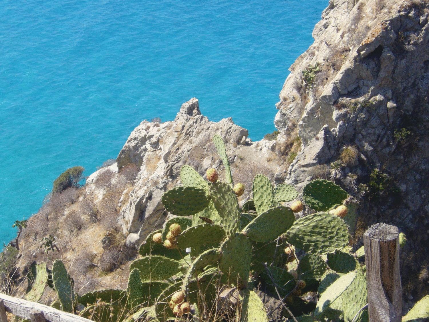 Hotel Virgilio Tropea Zewnętrze zdjęcie